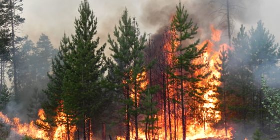 За несоблюдение требований пожарной безопасности — штраф от двух до пяти тысяч рублей