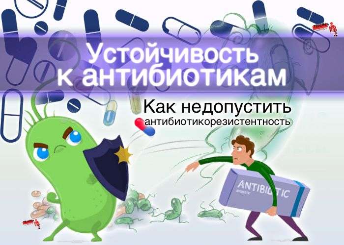 Смоленская область присоединилась к Неделе борьбы с антимикробной резистентностью
