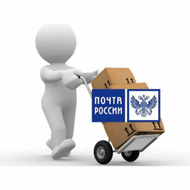 Почта России доставит технические средства реабилитации маломобильным жителям страны