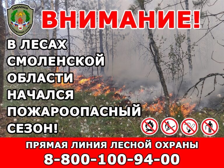 В лесах Смоленской области открыт пожароопасный сезон